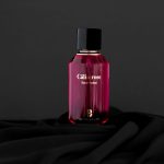 photo_2024-01-13_03-42-41